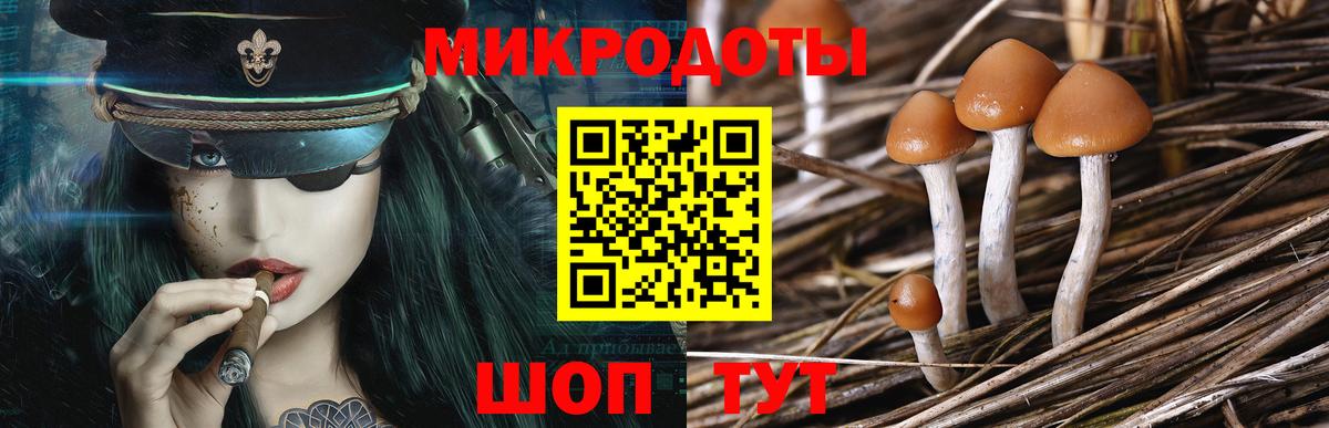Галлюциногенные грибы MAGIC MUSHROOMS Пенза