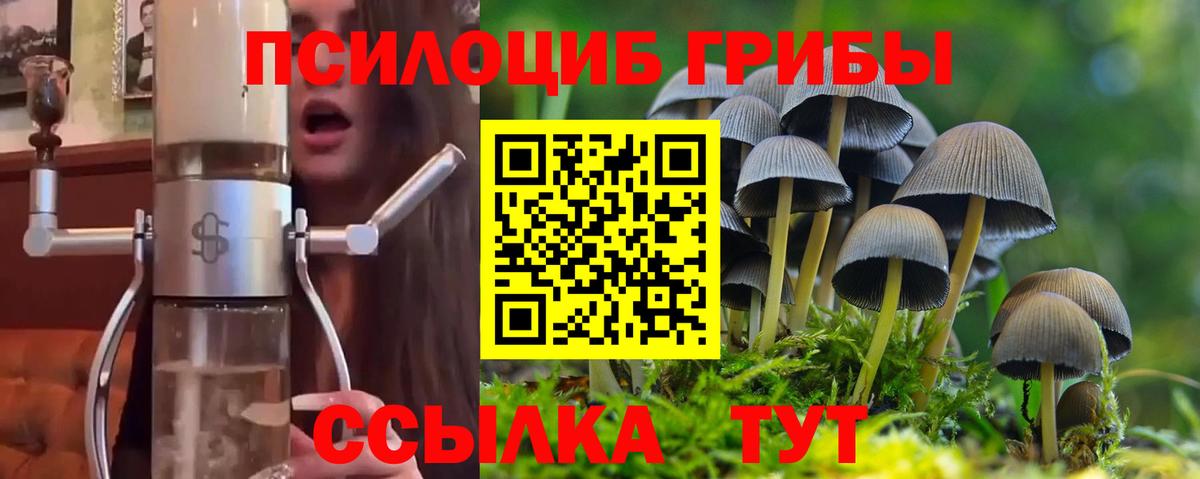 Галлюциногенные грибы мухоморы  Вход с VPN  Псилоцибиновые грибы Cubensis  Пенза 